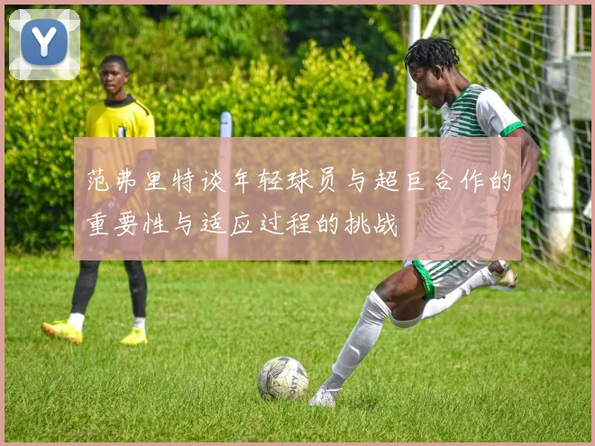 范弗里特谈年轻球员与超巨合作的重要性与适应过程的挑战
